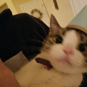 Meet your Posher, Mary